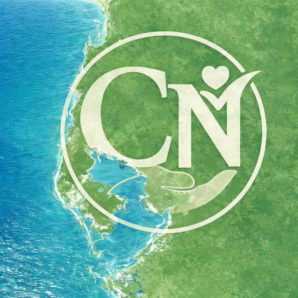 Map-style graphic showing Florida’s Gulf Coast in bright blue water with a soft green land texture, featuring the CareNet Homecare CN logo overlaid in white to represent senior home care services in Pasco County and Pinellas County, Florida